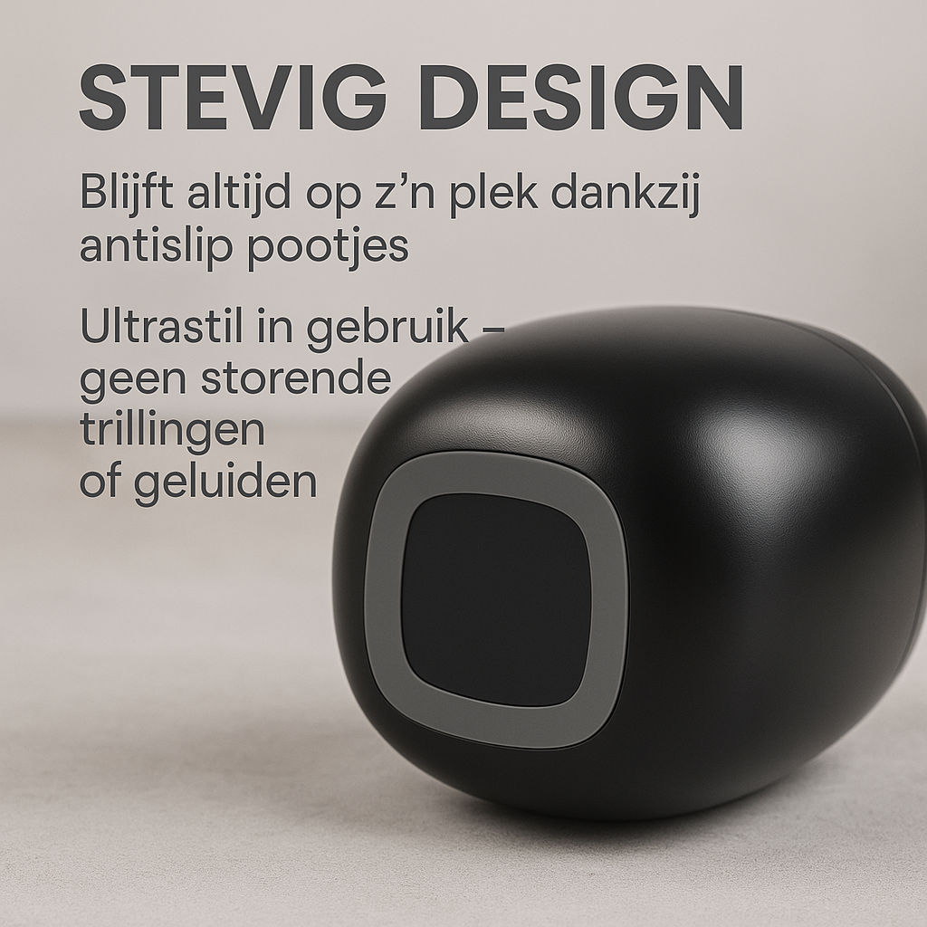 Professionele Ultrasoon Reiniger Zwart